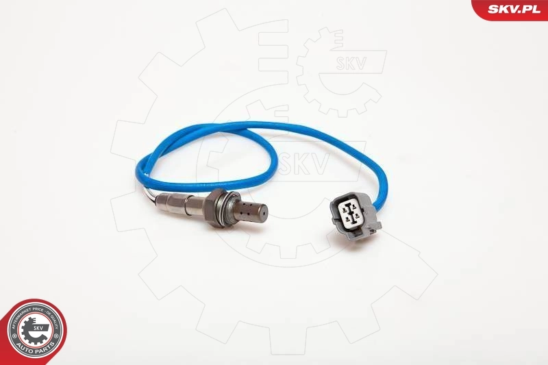 Oxygen Sensor